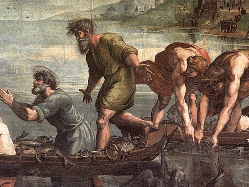 papacy peter pope successor shepherdrome shepherd fishermanRaphael miraculous draught catch of fish