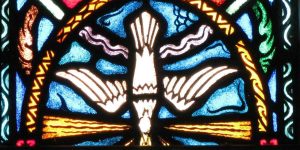 leo great priesthood of all christians sacrifices oil chrism consecration facebook