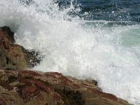 La Scrittura distrugge la tradizione?