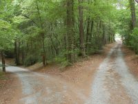 fork in the road reading the documents of vatican ii