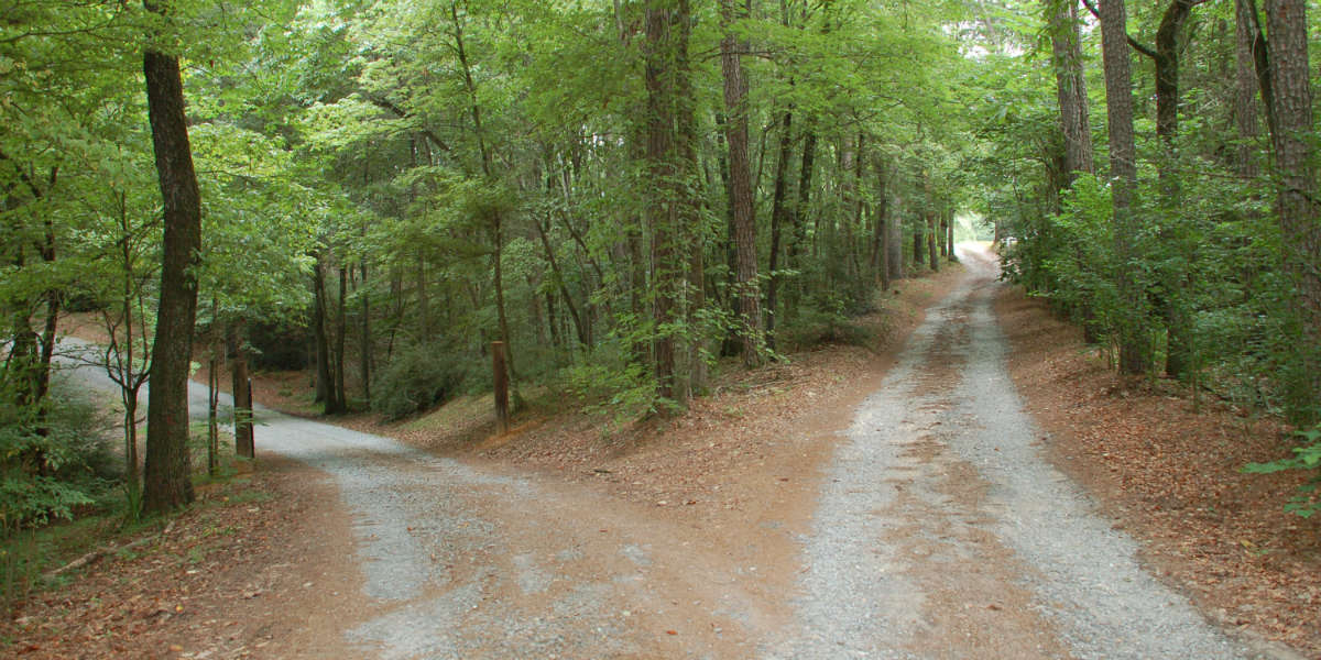 fork in the road reading the documents of vatican ii