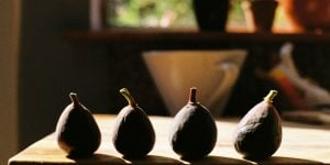 barren fig tree lenten 3rd sunday Lent C