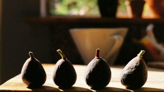 barren fig tree lenten 3rd sunday Lent C