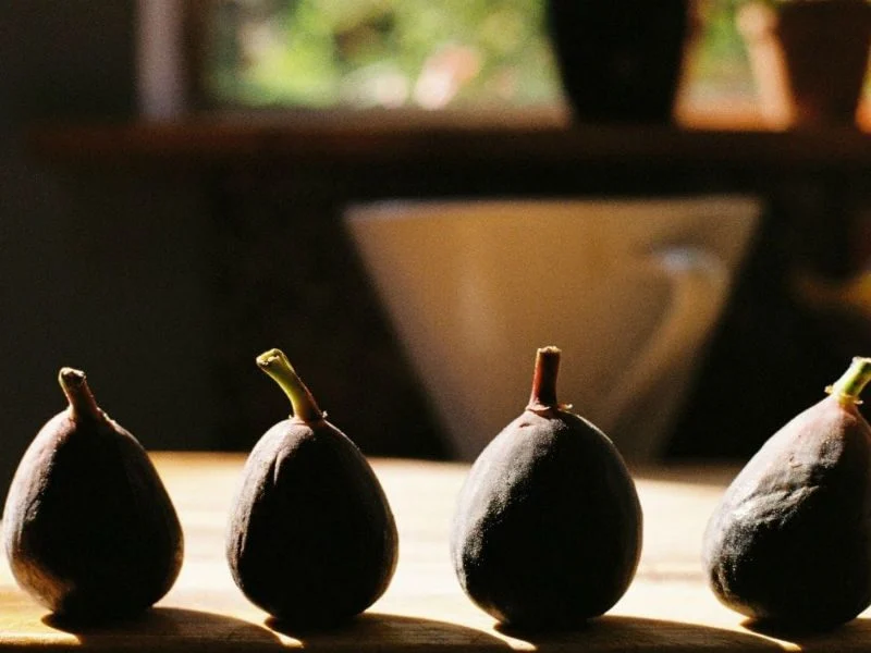 barren fig tree lenten 3rd sunday Lent C