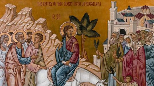 humility victory Palm passion Sunday victory of humility triumphal entry Jerusalem donkey palme passione domenica vittoria dell'umiltà entrata trionfale Gerusalemme asino facebook