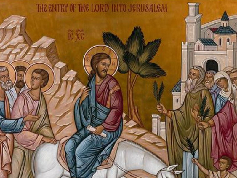 humility victory Palm passion Sunday victory of humility triumphal entry Jerusalem donkey palme passione domenica vittoria dell'umiltà entrata trionfale Gerusalemme asino facebook