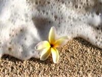 Wash yourself clean rebirth forgiveness Cyril_Jerusalema acknowledge_sins Holy_Spirit supernatural seal baptism renewed renewal