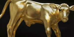golden calf facebook