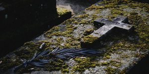Masonry image