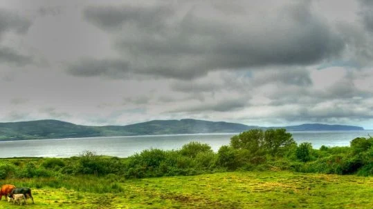 john baptist hope rejoice joy suffering third 3rd Sunday Advent A gaudete adviento tercer domingo esperanza gozo Goisci nella speranza Giovanni Battista Domenica goire