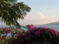 mount of beatitudes sea Galilee view gardens flowers holy land sea