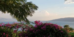 mount of beatitudes sea Galilee view gardens flowers holy land sea