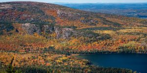 trees autumn fall lake annunciation