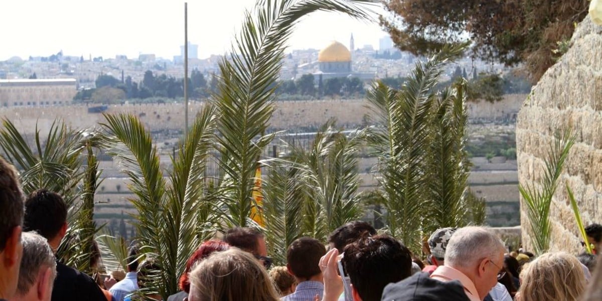 mount olives palm branches sunday road hosanna donkey, mount