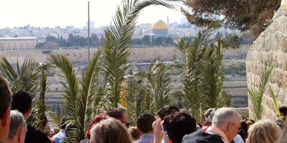 mount olives palm branches sunday road hosanna donkey