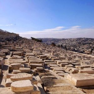 mount of olives graves death judgment jerusalem tombstones palm sunday road hosanna