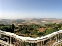 mount tabor view susan d'ambrosio