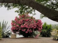 Crossing Sea of Galilee