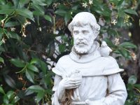 francis assisi masonry image