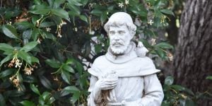 francis assisi masonry image