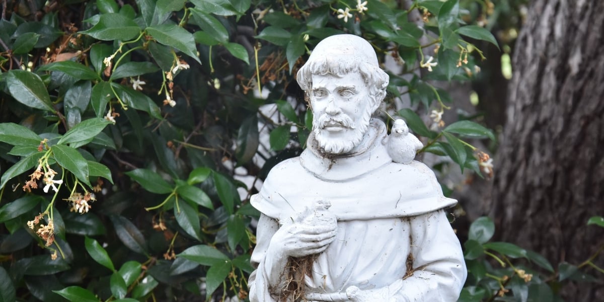 francis assisi masonry image