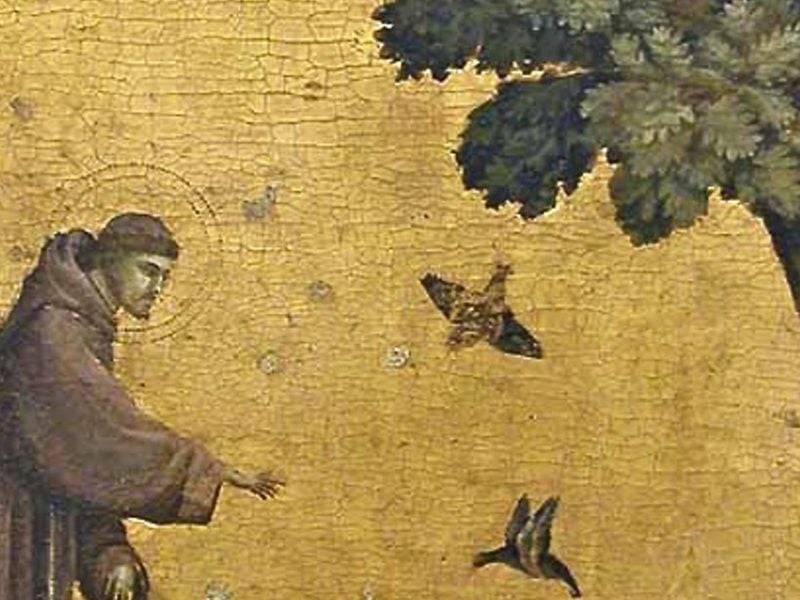 St. Francis preaching to birds Giotto creation environment October 4 animals piety