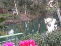 Jesus, John the Baptist & the River Jordan