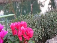 Jesus, John the Baptist & the River Jordan
