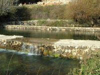 Jesus, John the Baptist & the River Jordan