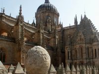 Salamanca Cathedral close up Jose A Warletta FreeImages public domain