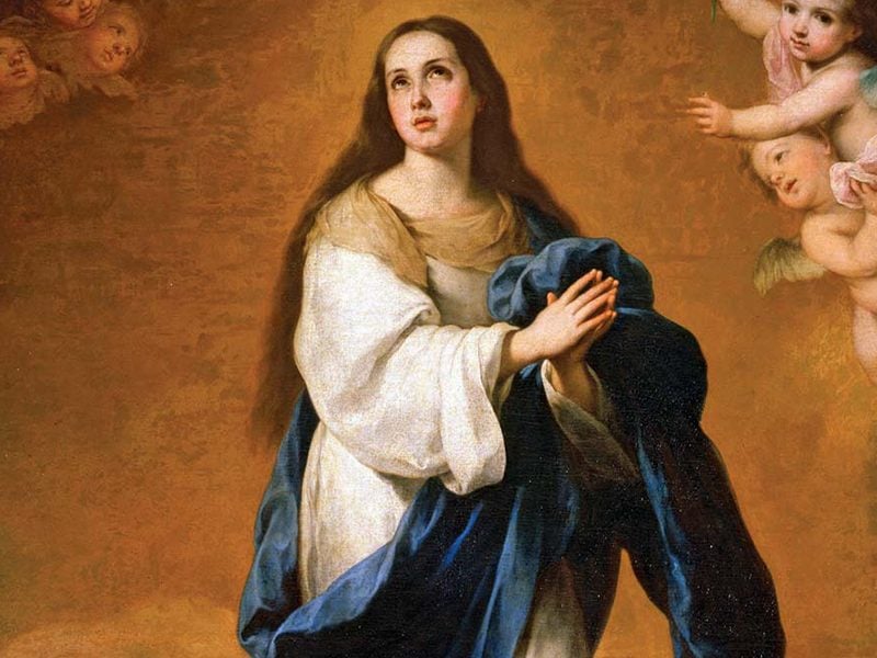 december 8 immaculate conception anselm mary mother re-created world