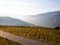Douro hill vineyard Eduardo Lages Unsplash public domain