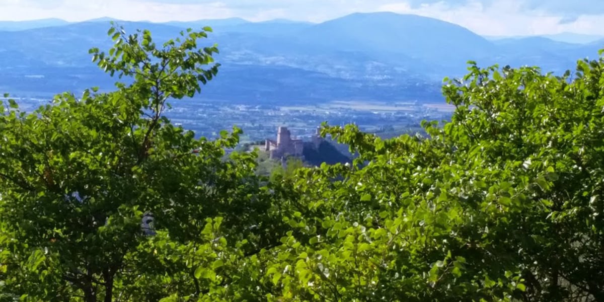 Saint Francis of Assisi view of valley tower Mount Subasio