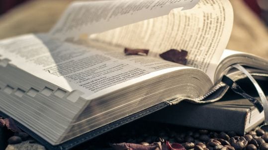 holiness pharisees hand aggressive action near occasion sin cut it off fortitude Sixth (6th) 26th Sunday A B lent ordinary repentance repent near occasion of sin