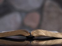 Estudio bíblico católico Liturgy