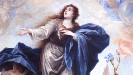 Immaculate Conception, feast, december 8, virtue