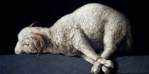 Jesus, the lamb of God Francisco Zubaran Agnus Dei second 2nd Sunday in Ordinary Time, cycle A
