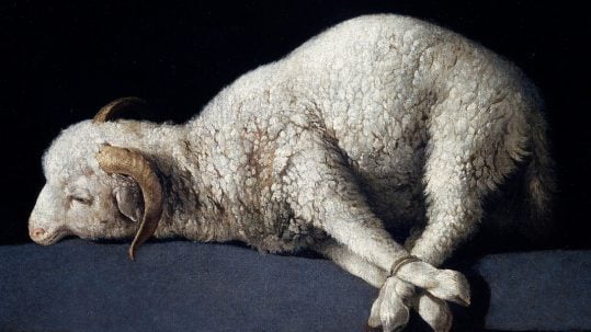 Jesus, the lamb of God,