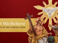 What We Believe: The Beauty of the Catholic Faith
