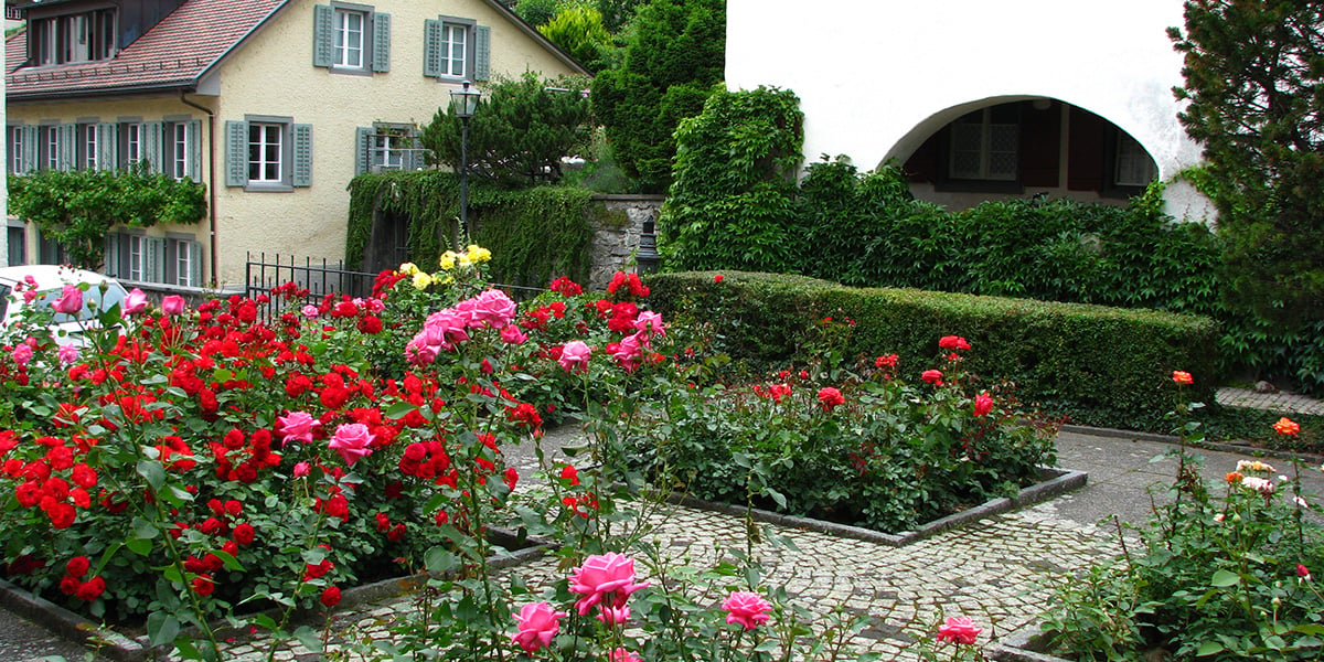 Rapperswil, Lake Zurich, Rappeswil Switzerland, St. Kunigunde, Chapel of St. Ursula, Rose City, Einsiedeln Abbey, Rhine pilgrimage, Catholic pilgrimage, Rapperswil rose garden