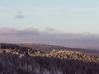 Forest Hills Brian Breeden unsplash public domain