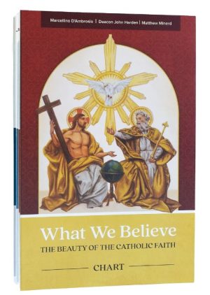 What We Believe: The Beauty of the Catholic Faith, Chart