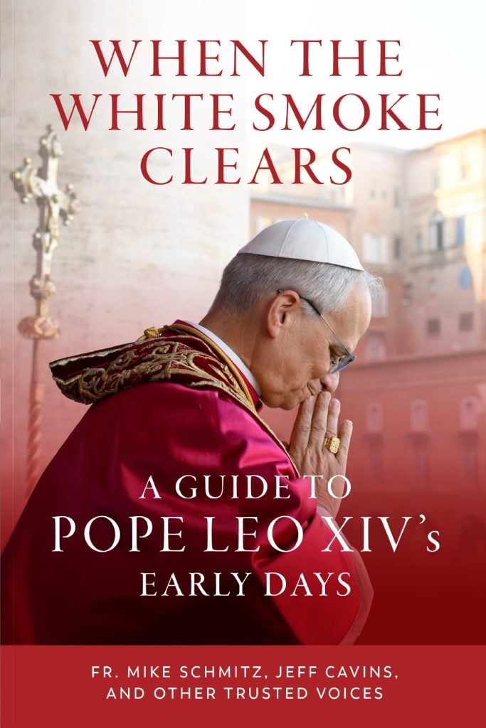 Pope Leo XIV When White Smoke Clears book